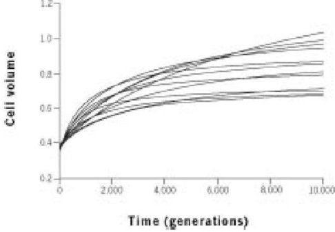Иллюстрация к книге — Самое грандиозное шоу на Земле. Доказательства эволюции [i_016.jpg]