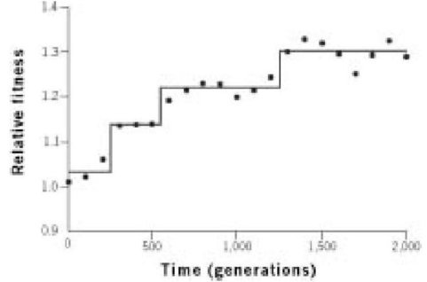 Иллюстрация к книге — Самое грандиозное шоу на Земле. Доказательства эволюции [i_017.jpg]