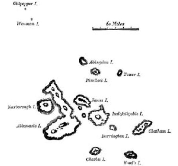 Иллюстрация к книге — Самое грандиозное шоу на Земле. Доказательства эволюции [i_053.jpg]