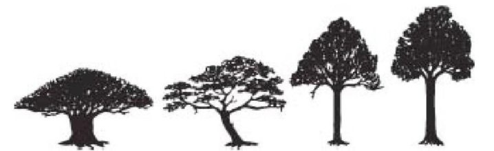 Иллюстрация к книге — Самое грандиозное шоу на Земле. Доказательства эволюции [i_054.jpg]