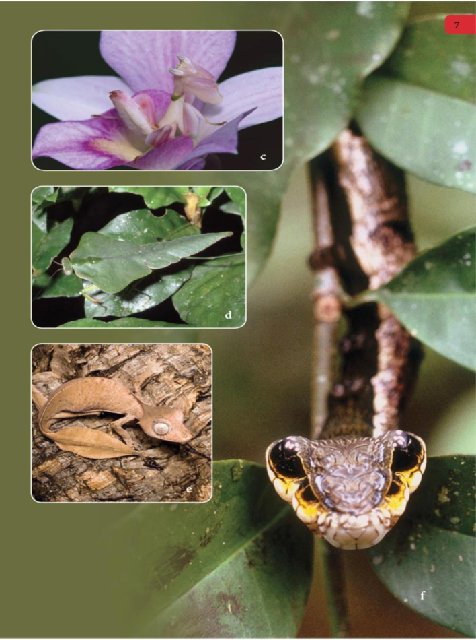 Иллюстрация к книге — Самое грандиозное шоу на Земле. Доказательства эволюции [i_094.jpg]