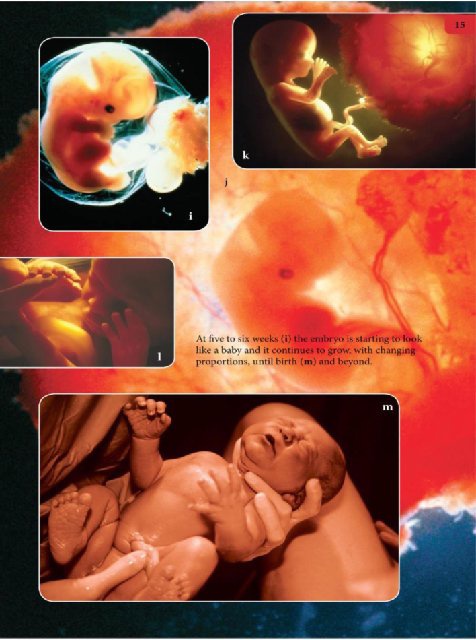 Иллюстрация к книге — Самое грандиозное шоу на Земле. Доказательства эволюции [i_102.jpg]