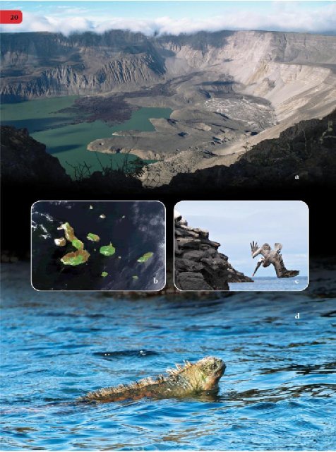 Иллюстрация к книге — Самое грандиозное шоу на Земле. Доказательства эволюции [i_107.jpg]