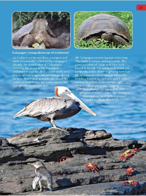 Иллюстрация к книге — Самое грандиозное шоу на Земле. Доказательства эволюции [i_108.jpg]