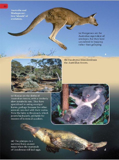 Иллюстрация к книге — Самое грандиозное шоу на Земле. Доказательства эволюции [i_109.jpg]