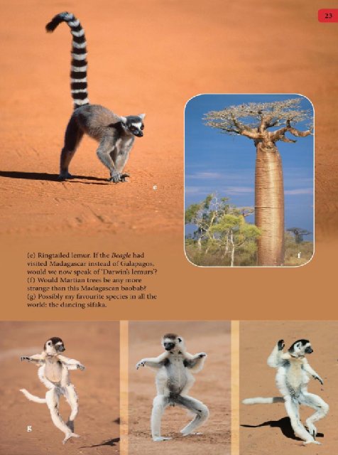 Иллюстрация к книге — Самое грандиозное шоу на Земле. Доказательства эволюции [i_110.jpg]