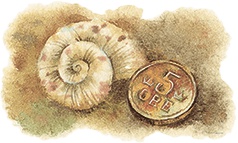 Иллюстрация к книге — Расмус-бродяга [i_003.jpg]