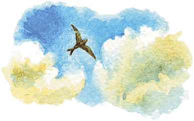 Иллюстрация к книге — Расмус-бродяга [i_015.jpg]