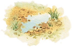 Иллюстрация к книге — Расмус-бродяга [i_040.jpg]