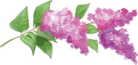 Иллюстрация к книге — Расмус, Понтус и Растяпа [i_003.jpg]