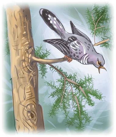 Иллюстрация к книге — Расмус, Понтус и Растяпа [i_060.jpg]