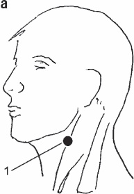 Иллюстрация к книге — Избавиться от боли за 30 секунд! Секретные точки здоровья. Тайны древнего Китая [_52.jpg]