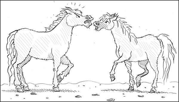 Иллюстрация к книге — Волшебная встреча [_123.jpg]