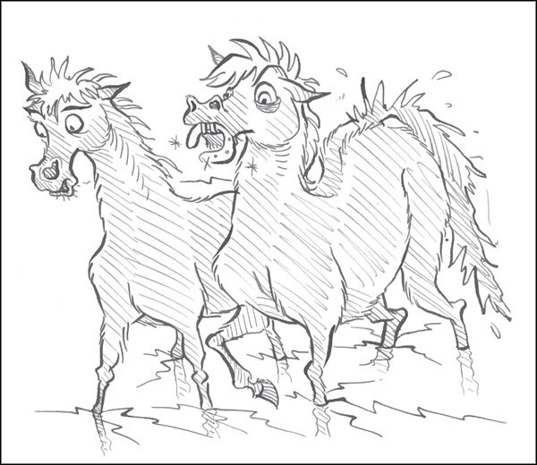 Иллюстрация к книге — Друг из Облачного леса [_158.jpg]