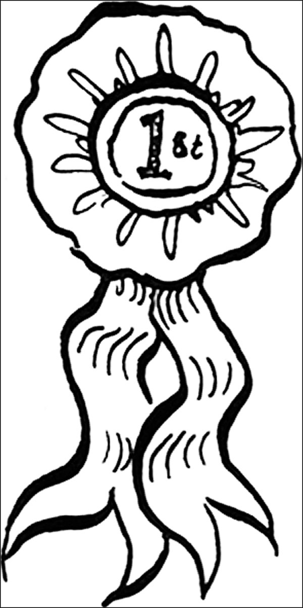 Иллюстрация к книге — Принцессы пони. Приз мечты [_146.jpg]