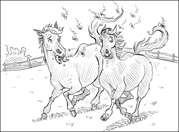 Иллюстрация к книге — Секрет для пони [_110.jpg]