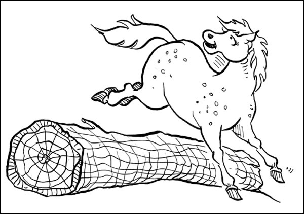 Иллюстрация к книге — Удивительное спасение [_146.jpg]