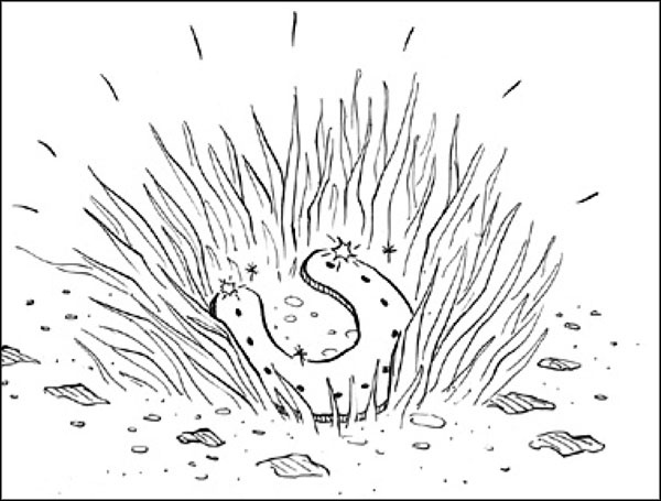 Иллюстрация к книге — Удивительное спасение [_148.jpg]