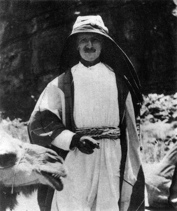 Иллюстрация к книге — Семь столпов мудрости [i_014.jpg]