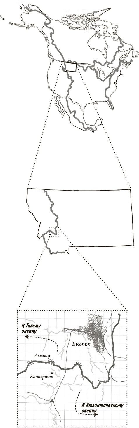 Иллюстрация к книге — Невероятное путешествие мистера Спивета [i_004.jpg]