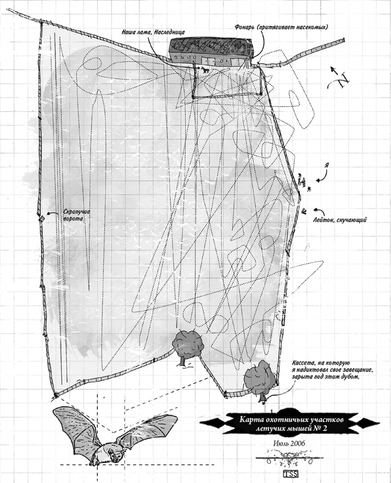 Иллюстрация к книге — Невероятное путешествие мистера Спивета [i_010.jpg]