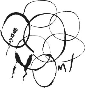 Иллюстрация к книге — Невероятное путешествие мистера Спивета [i_025.jpg]