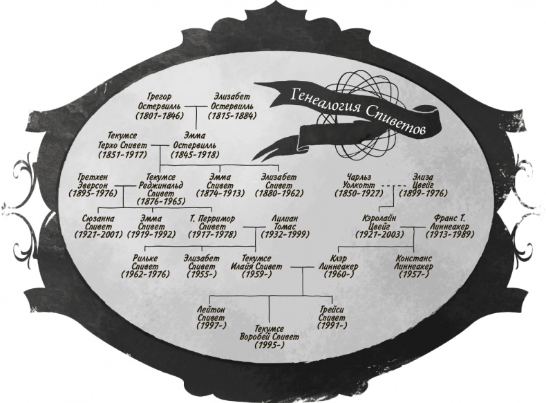 Иллюстрация к книге — Невероятное путешествие мистера Спивета [i_028.jpg]