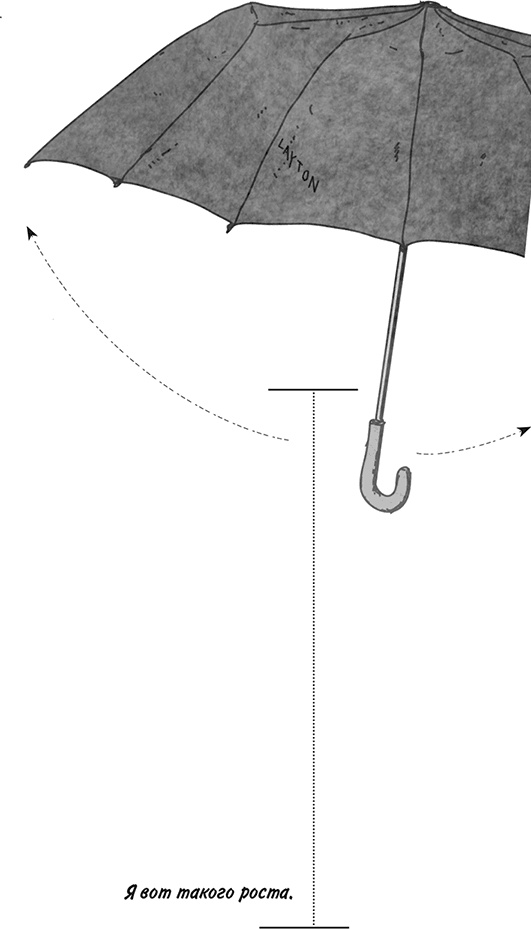 Иллюстрация к книге — Невероятное путешествие мистера Спивета [i_042.jpg]