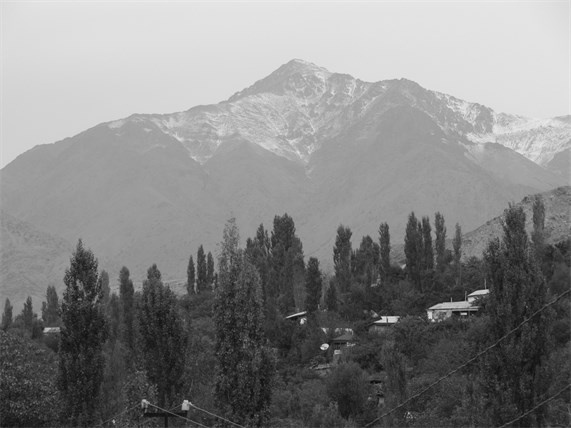 Иллюстрация к книге — Советский кишлак. Между колониализмом и модернизацией [i_108.jpg]