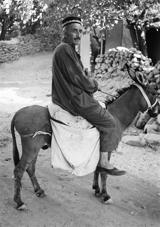 Иллюстрация к книге — Советский кишлак. Между колониализмом и модернизацией [i_114.jpg]