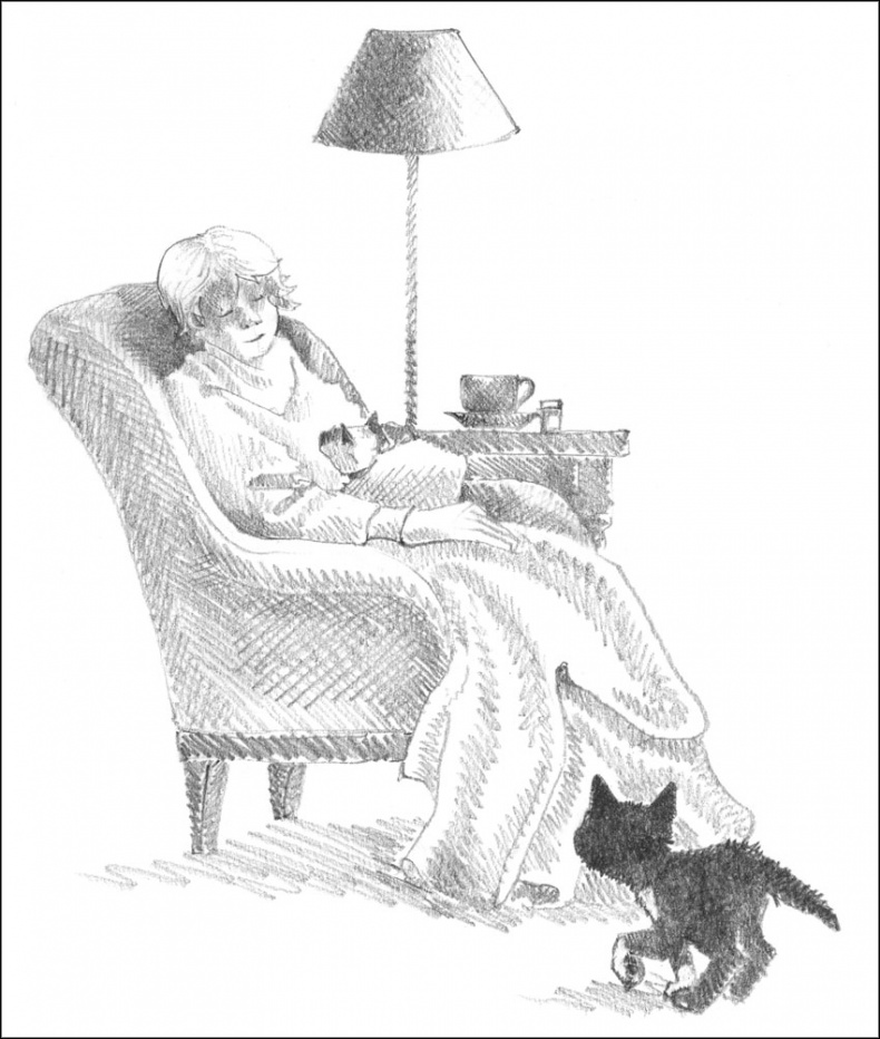 Иллюстрация к книге — Котенок Дымка, или Тайна домика на дереве [_044.jpg]