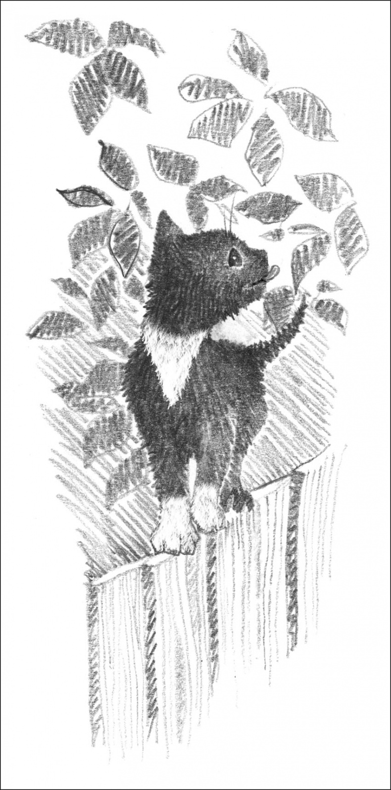 Иллюстрация к книге — Котенок Дымка, или Тайна домика на дереве [_063.jpg]