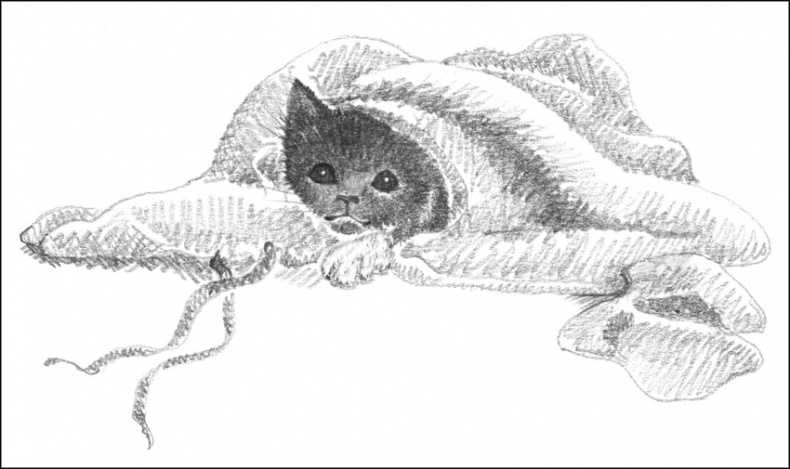 Иллюстрация к книге — Котенок Дымка, или Тайна домика на дереве [_075.jpg]