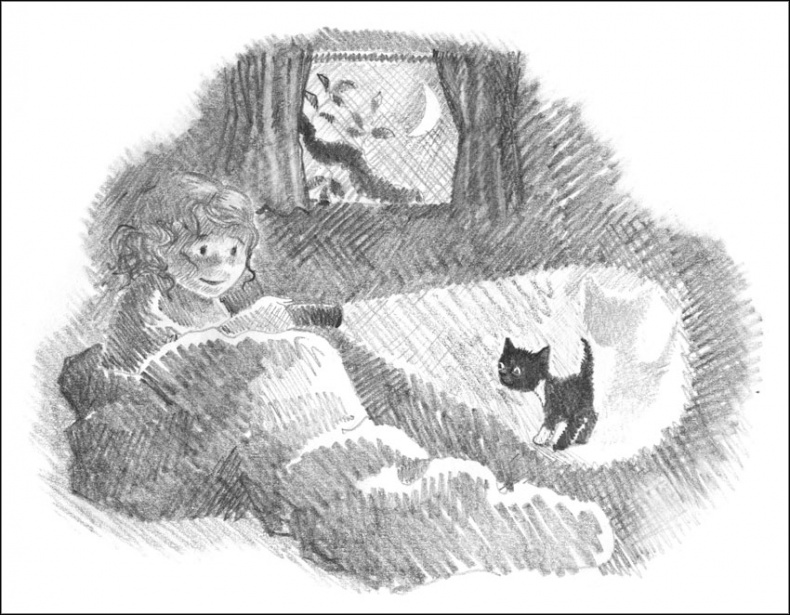 Иллюстрация к книге — Котенок Дымка, или Тайна домика на дереве [_084.jpg]