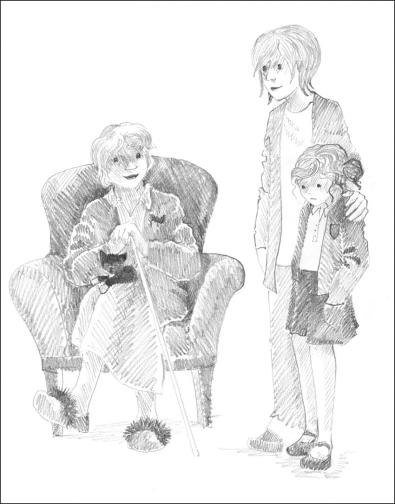 Иллюстрация к книге — Котенок Дымка, или Тайна домика на дереве [_119.jpg]