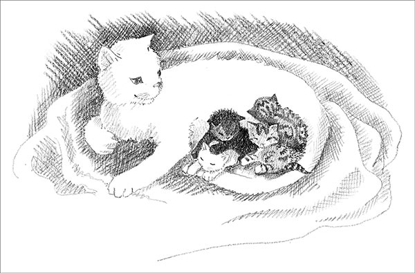 Иллюстрация к книге — Котёнок Усатик, или Отважное сердце [_055.jpg]