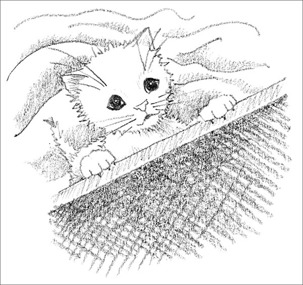 Иллюстрация к книге — Котёнок Усатик, или Отважное сердце [_061.jpg]