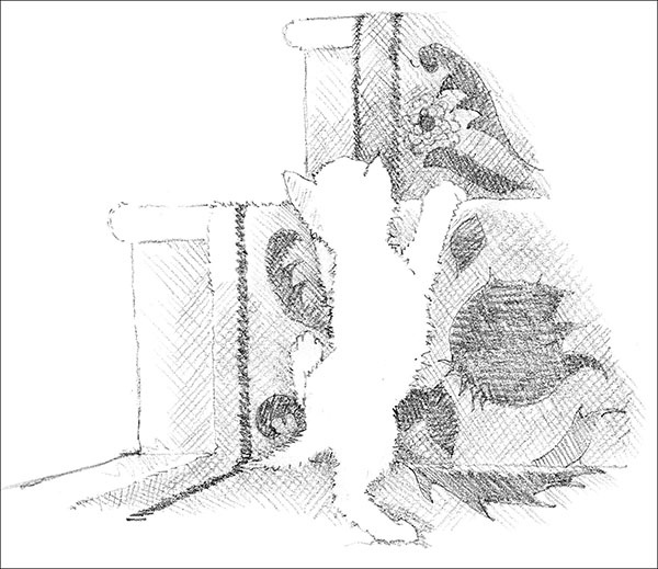 Иллюстрация к книге — Котёнок Усатик, или Отважное сердце [_125.jpg]