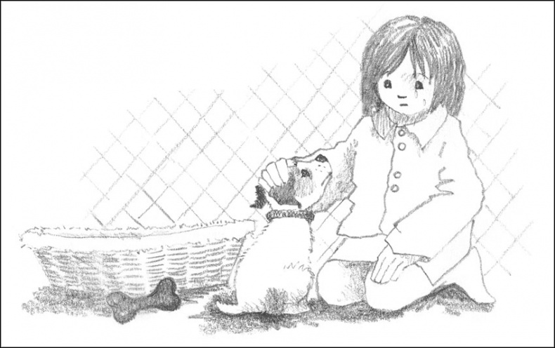 Иллюстрация к книге — Щенок Гарри, или Здравствуй, дом! [_009.jpg]