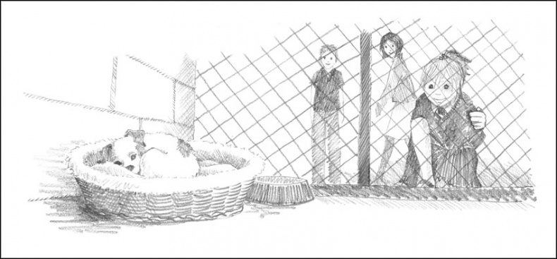 Иллюстрация к книге — Щенок Гарри, или Здравствуй, дом! [_030031.jpg]