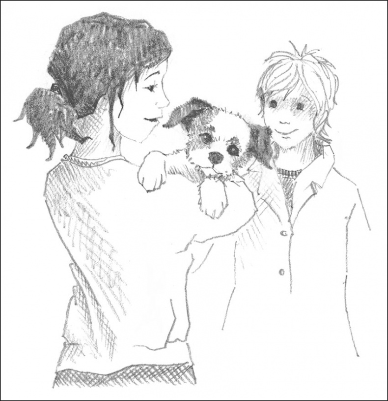 Иллюстрация к книге — Щенок Гарри, или Здравствуй, дом! [_047.jpg]