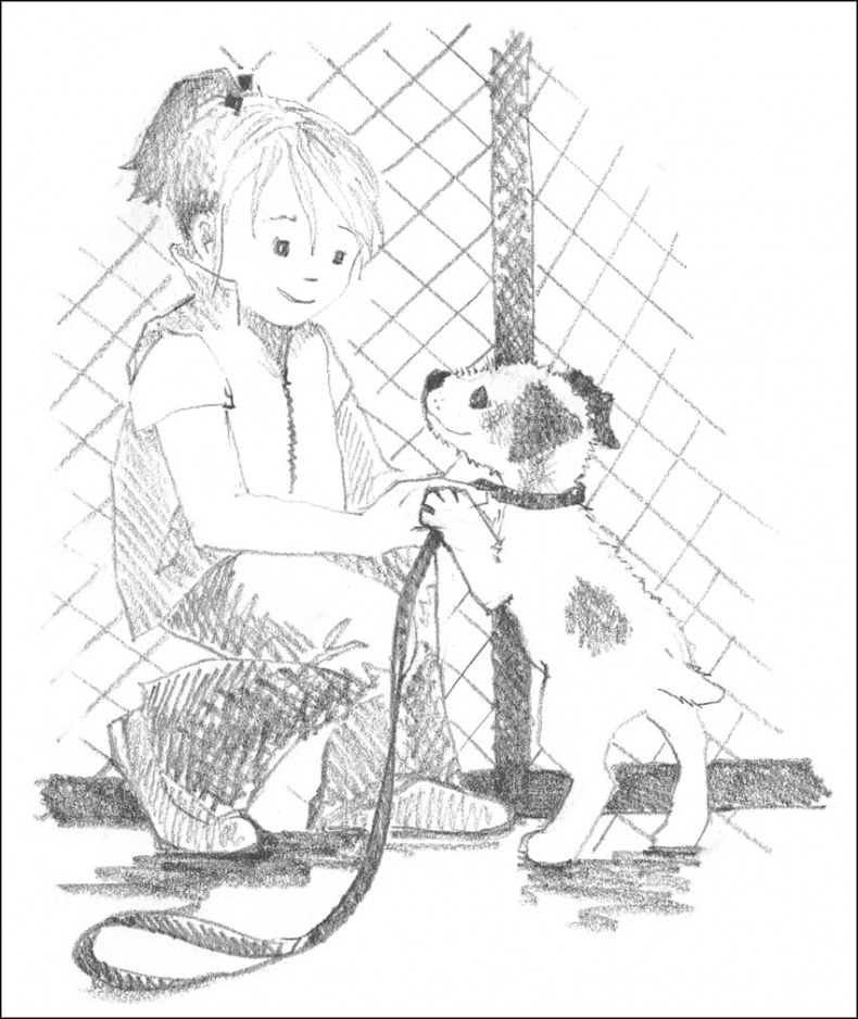 Иллюстрация к книге — Щенок Гарри, или Здравствуй, дом! [_053.jpg]