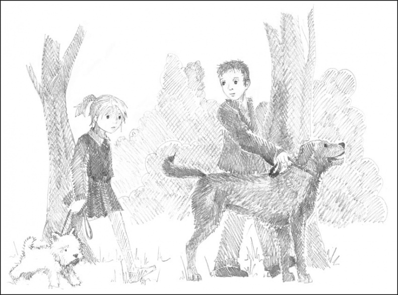 Иллюстрация к книге — Щенок Гарри, или Здравствуй, дом! [_087.jpg]