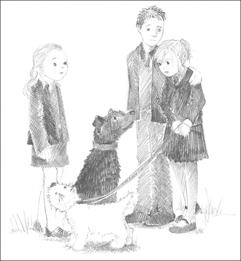 Иллюстрация к книге — Щенок Гарри, или Здравствуй, дом! [_090.jpg]