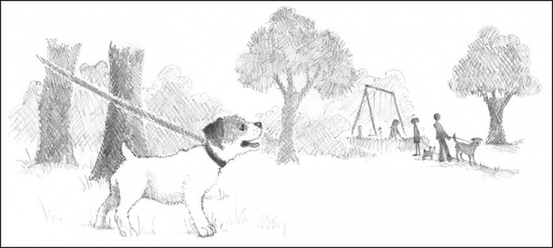 Иллюстрация к книге — Щенок Гарри, или Здравствуй, дом! [_094095.jpg]