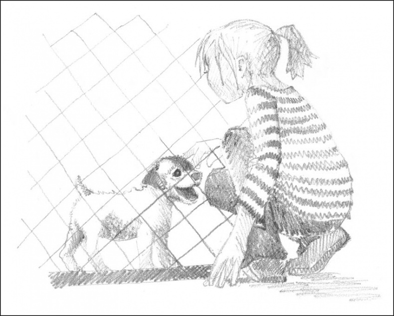 Иллюстрация к книге — Щенок Гарри, или Здравствуй, дом! [_099.jpg]