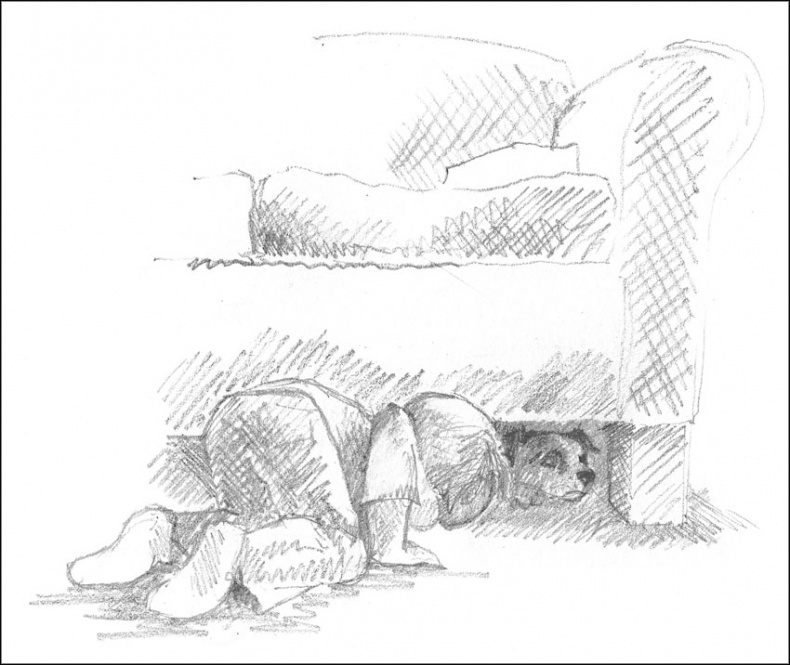 Иллюстрация к книге — Щенок Гарри, или Здравствуй, дом! [_127.jpg]