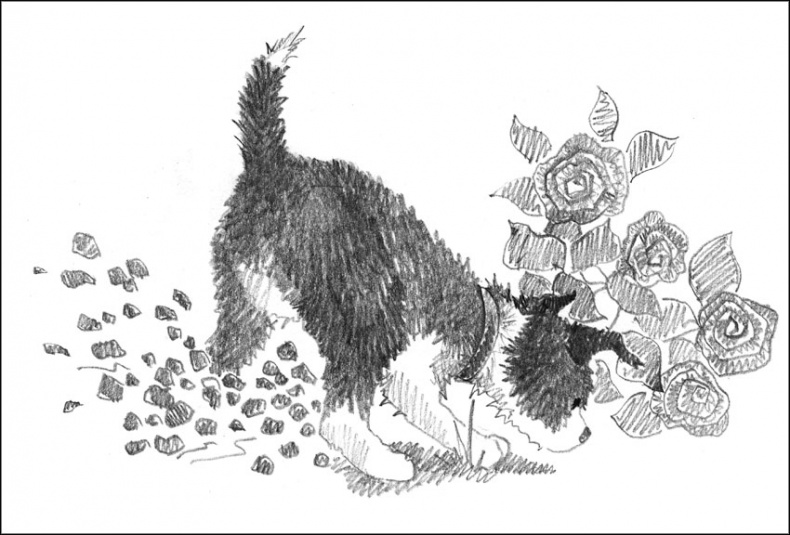 Иллюстрация к книге — Щенок Джесс, или Давай дружить! [_061.jpg]