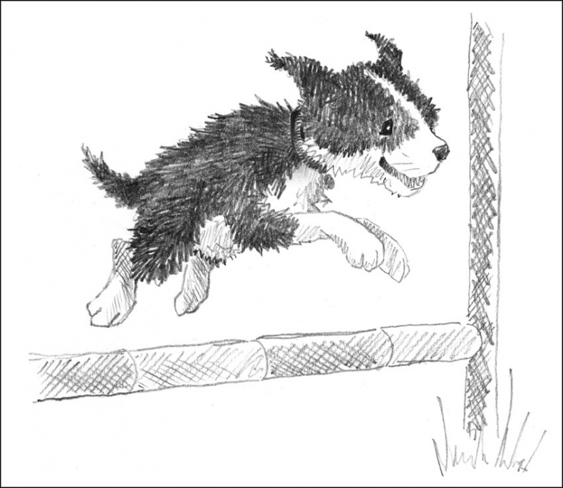 Иллюстрация к книге — Щенок Джесс, или Давай дружить! [_114.jpg]