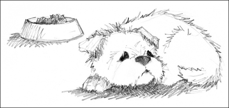 Иллюстрация к книге — Щенок Элфи, или Не хочу быть один! [_114.jpg]